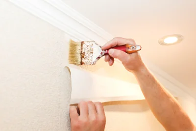 Pose de papier peint à Belvédère-Campomoro — revêtements muraux et toiles de verre